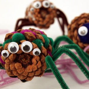 Pine Cone Spider For Kids