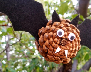 pine cone bat feature