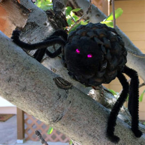 Spooky Pine Cone Spider